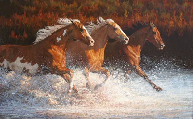 Picture of Thundering Water