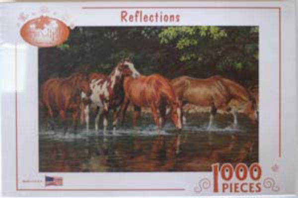 Picture of Reflections Puzzle