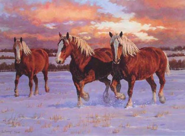 Picture of Winter Gold