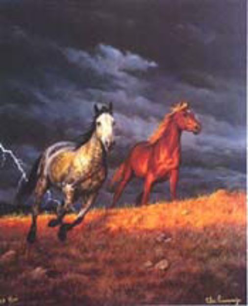 Picture of Thunder Ridge Series - Set of 3