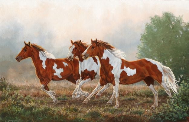 Picture of Misty Morning Pintos - Sold