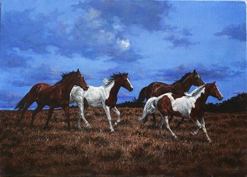 Picture of Moonlight Run