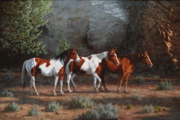 Picture of Canyon Shadows