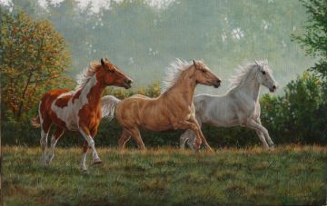 Picture of Fall Run