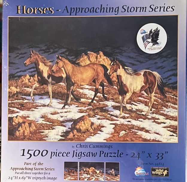 Picture of Approaching Storm Puzzle