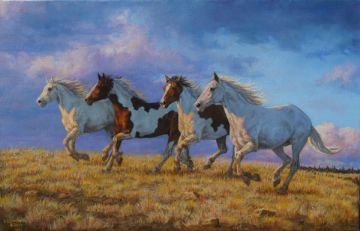 Picture of Fields of Gold
